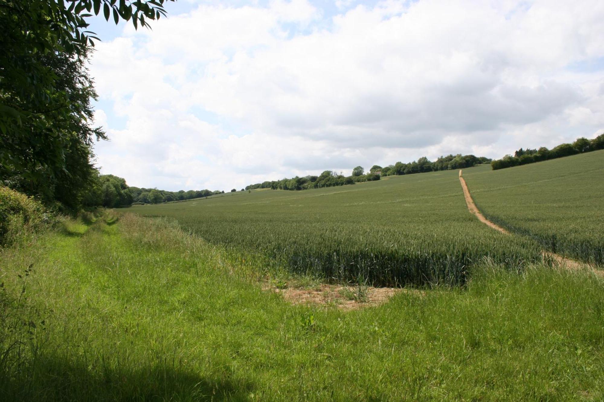 Five Cottages In Aonb And A Hobbit House! Canterbury Exterior photo